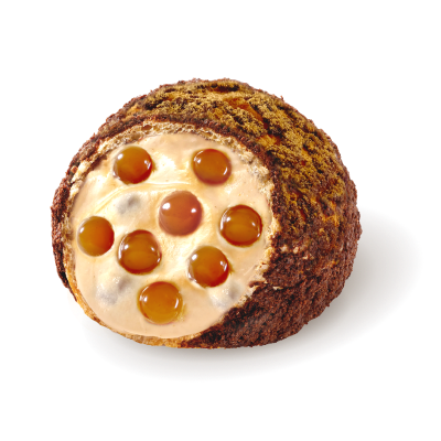 Roasted Buckwheat Cream Puff